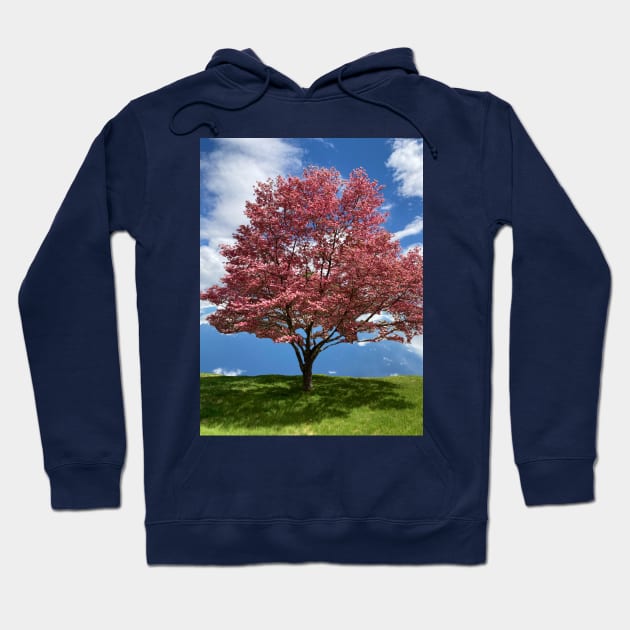 Blooming Tree Hoodie by Amanda1775